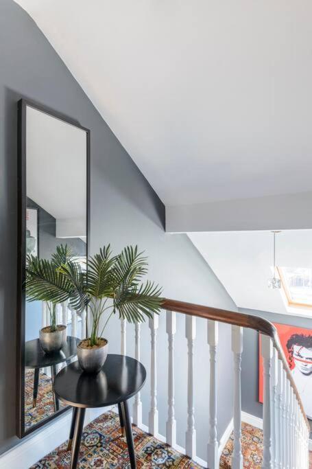 Gorgeous Homestay Belfast Exteriér fotografie