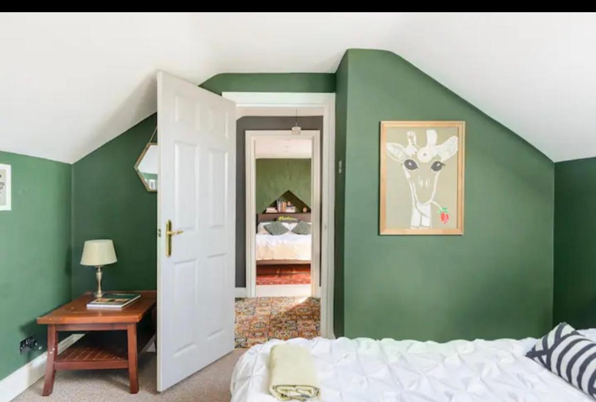 Gorgeous Homestay Belfast Exteriér fotografie
